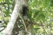 20120723-IMG_3339