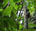 20120723-IMG_3383a