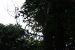20120723-IMG_3390