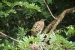 20120724-IMG_3543