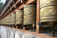 Ladakh new_20150925_6121