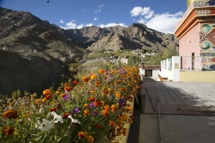 Ladakh new_20150925_6228