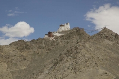 Leh Ladakh Fetival_20150920_2485
