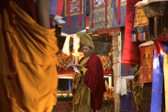 walking near Kathmandu_20150926_6673