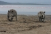 Lake Naguru 2 103.jpg
