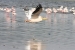 Lake naguru 389.jpg