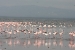 Lake naguru 425.jpg