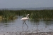 lake naguru 3 030.jpg