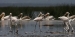 lake naguru 3 031a.jpg