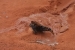 Lake Powell 1 029.jpg