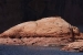 Lake Powell 415.jpg