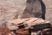 Lake Powell 421.jpg