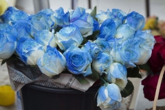thumb_lamanja 3_20160202_7866_1024
