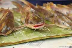 02mar2015_luang-natham_0310