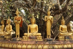 11feb2015_vientiane_6402