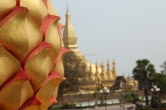 11feb2015_vientiane_6469