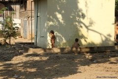 21feb2015_nam-ou-elephant-farm_6915