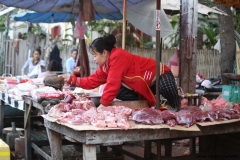 22feb2015_luang-prabang-morning-market_8118