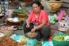 22feb2015_luang-prabang-morning-market_8170