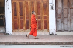 22feb2015_luang-prabang-morning-market_8249