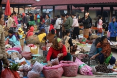 28feb2015_muang-sing_9003