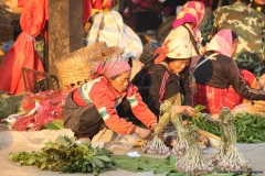 28feb2015_muang-sing_9096