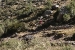 lares valley 566.jpg