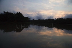 thumb_amazon 5_20160307_5326_1024
