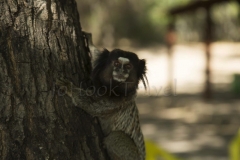 thumb_Chapada Diamentina_20151211_0565_1024