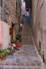 20111001-IMG_4429