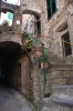 20111001-IMG_4522