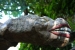 20111002-IMG_5189