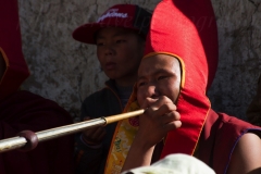 UNADJUSTEDNONRAW_thumb_f141-1