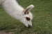 Machupicchu 082.jpg