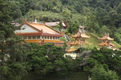 Cameron Highlands_20150704_8363