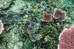Videos and photos perenthian islands_20150701_7037