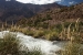 mendoza 179001.jpg