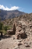 mendoza 210.jpg