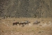 mendoza 252.jpg