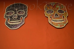 thumb_29652965_1024