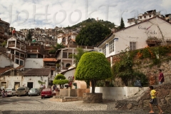 thumb_32613261_1024