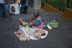 thumb_20161120_CHOLULU_02504799_1024