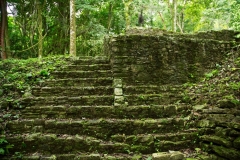 thumb_20161125_PALENQUE 2_01556550_1024