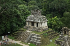 thumb_20161125_PALENQUE_00366231_1024