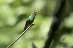 Mindo-2014_0172