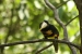20120324-IMG_2513