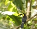 20120324-IMG_2596