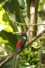 20120324-IMG_2620