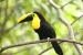 20120324-IMG_2759