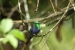 20120325-IMG_2891